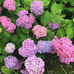 Meet your Posher, Cierra